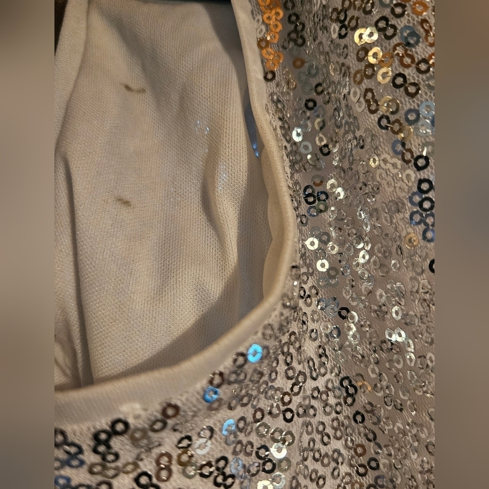 Kate Kasin Silver Empire Sequin Maxi Dress - Picture 9 of 15